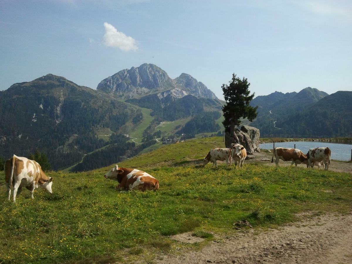 Seeblick Bodensdorf
