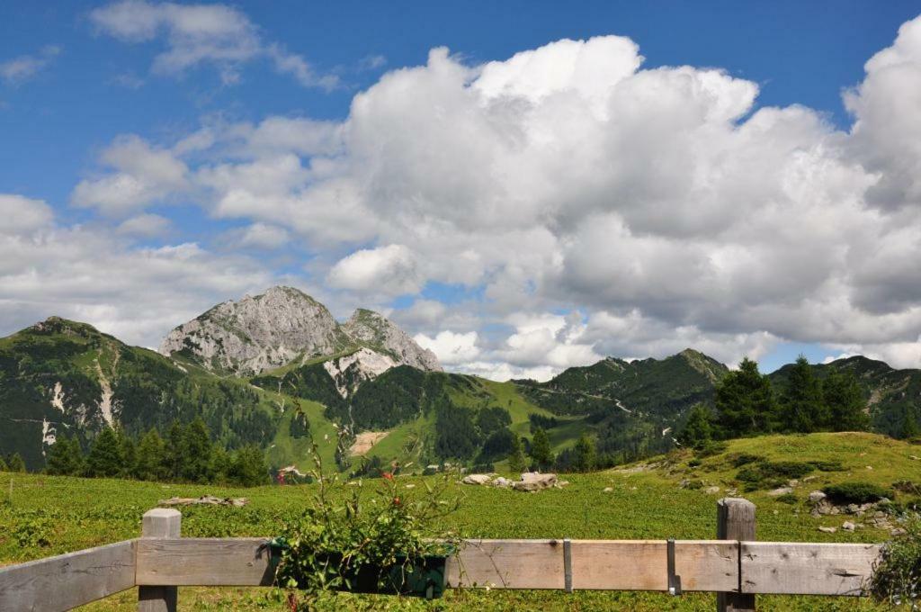 Seeblick Apartment *